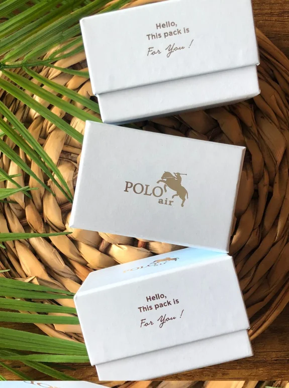 Polo Air Erkek Kol Saati Gümüş-Bakır PL-0856E3x